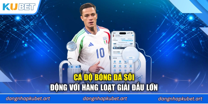 Cá độ bóng đá sôi động với hàng loạt giải đấu lớn