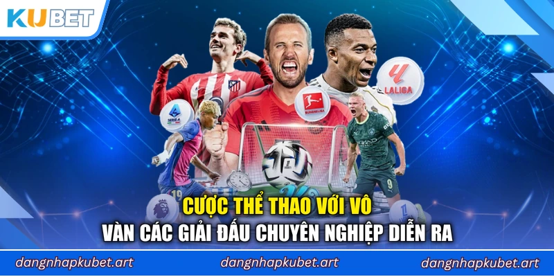 Cược thể thao với vô vàn các giải đấu chuyên nghiệp diễn ra