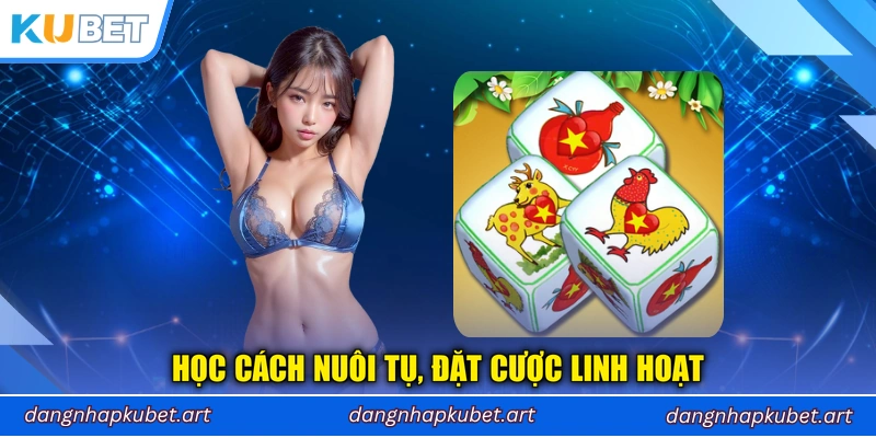 Học cách nuôi tụ, đặt cược linh hoạt