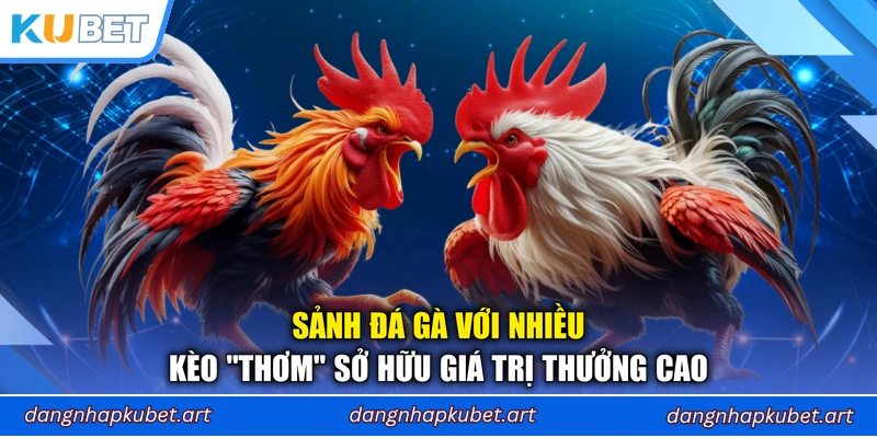 Sảnh đá gà với nhiều kèo “thơm” sở hữu giá trị thưởng cao